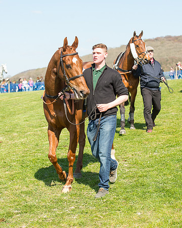 Race 3 - Young Horse Maiden (11 of 110).jpg
