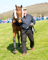 Race 3 - Young Horse Maiden (14 of 110).jpg