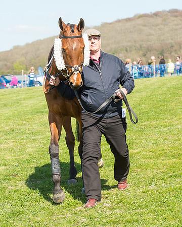 Race 3 - Young Horse Maiden (14 of 110).jpg