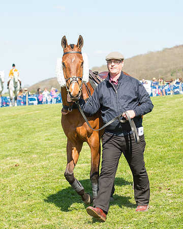 Race 3 - Young Horse Maiden (16 of 110).jpg