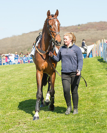 Race 3 - Young Horse Maiden (18 of 110).jpg