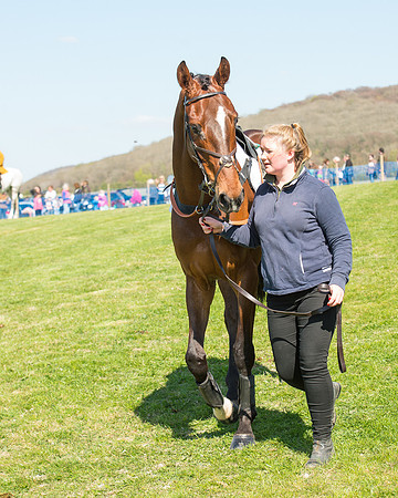 Race 3 - Young Horse Maiden (19 of 110).jpg
