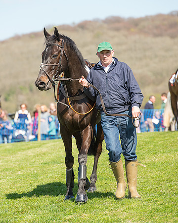 Race 3 - Young Horse Maiden (20 of 110).jpg