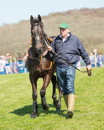 Race 3 - Young Horse Maiden (21 of 110).jpg