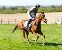 Race 3 - Young Horse Maiden (25 of 110).jpg