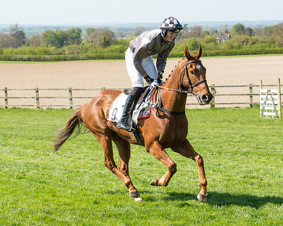 Race 3 - Young Horse Maiden (25 of 110).jpg