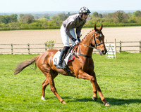 Race 3 - Young Horse Maiden (26 of 110).jpg