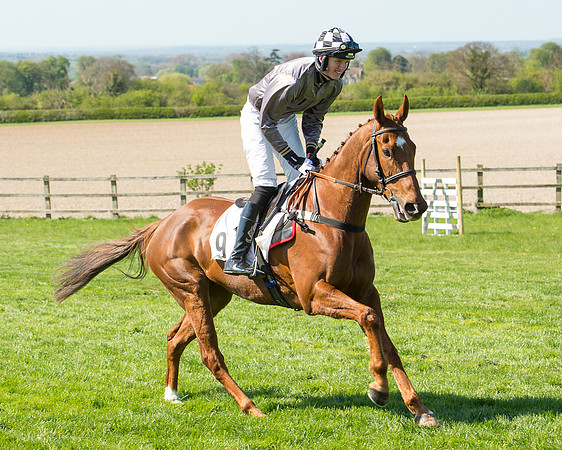 Race 3 - Young Horse Maiden (26 of 110).jpg