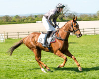 Race 3 - Young Horse Maiden (27 of 110).jpg