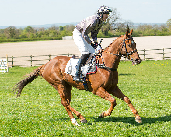 Race 3 - Young Horse Maiden (27 of 110).jpg