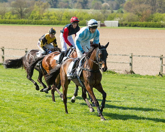 Race 3 - Young Horse Maiden (28 of 110).jpg