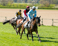 Race 3 - Young Horse Maiden (29 of 110).jpg