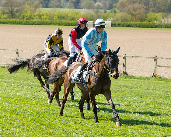 Race 3 - Young Horse Maiden (29 of 110).jpg
