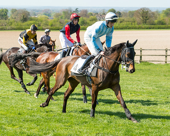Race 3 - Young Horse Maiden (30 of 110).jpg