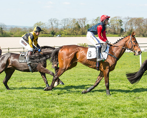 Race 3 - Young Horse Maiden (31 of 110).jpg