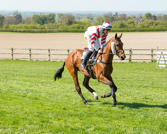 Race 3 - Young Horse Maiden (32 of 110).jpg