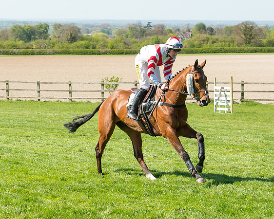 Race 3 - Young Horse Maiden (33 of 110).jpg