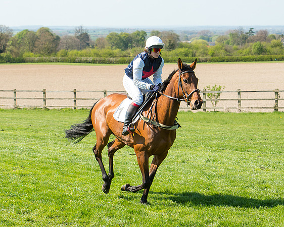 Race 3 - Young Horse Maiden (34 of 110).jpg