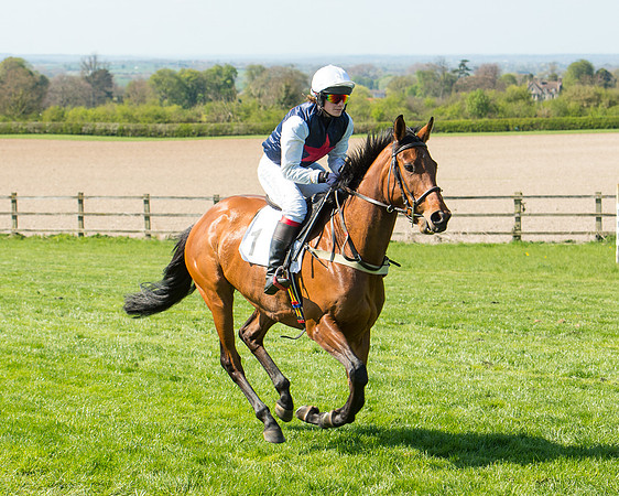 Race 3 - Young Horse Maiden (35 of 110).jpg