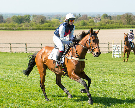 Race 3 - Young Horse Maiden (36 of 110).jpg