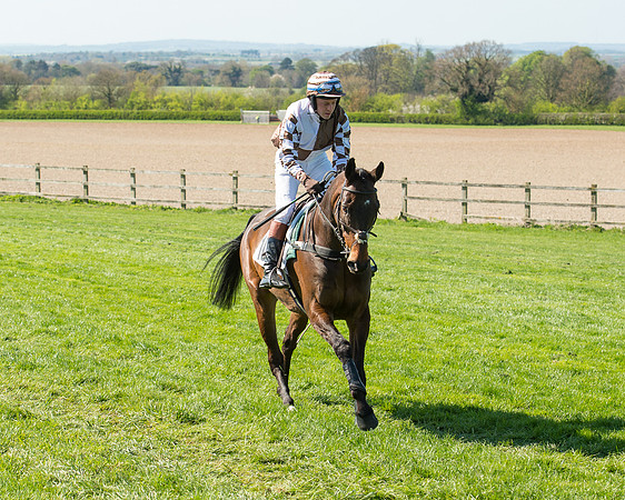 Race 3 - Young Horse Maiden (37 of 110).jpg