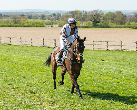Race 3 - Young Horse Maiden (38 of 110).jpg