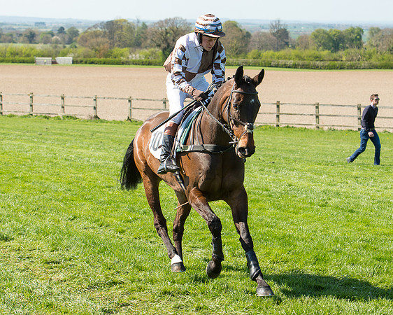 Race 3 - Young Horse Maiden (39 of 110).jpg