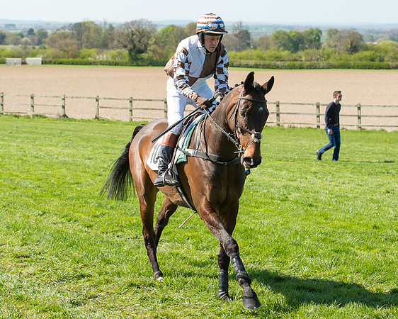 Race 3 - Young Horse Maiden (40 of 110).jpg