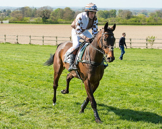 Race 3 - Young Horse Maiden (41 of 110).jpg