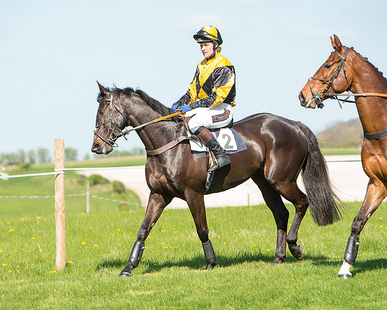 Race 3 - Young Horse Maiden (42 of 110).jpg