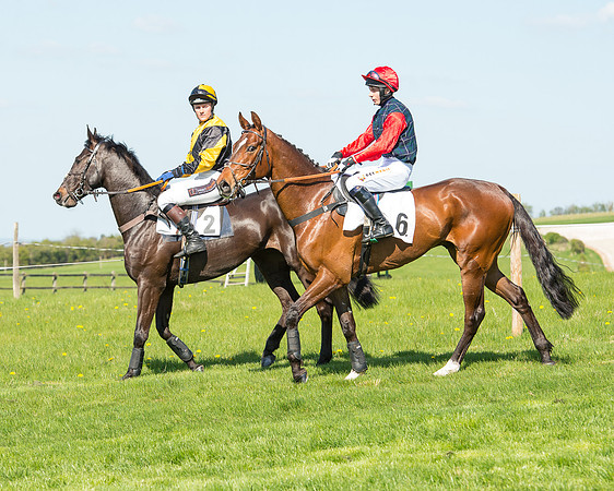 Race 3 - Young Horse Maiden (43 of 110).jpg