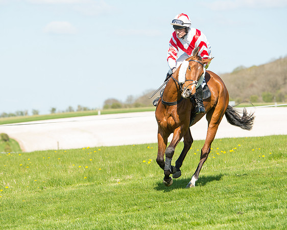 Race 3 - Young Horse Maiden (44 of 110).jpg