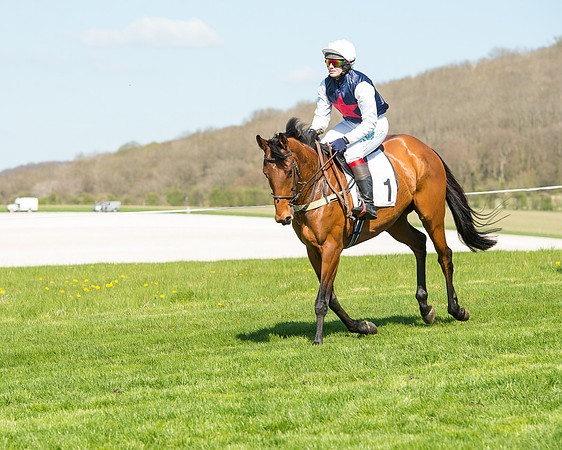 Race 3 - Young Horse Maiden (45 of 110).jpg