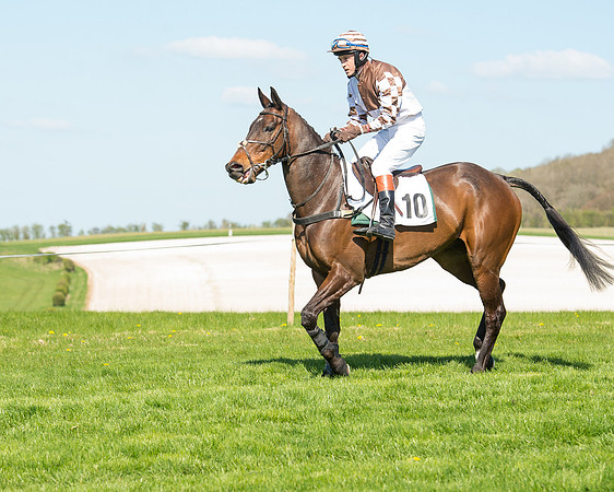 Race 3 - Young Horse Maiden (47 of 110).jpg