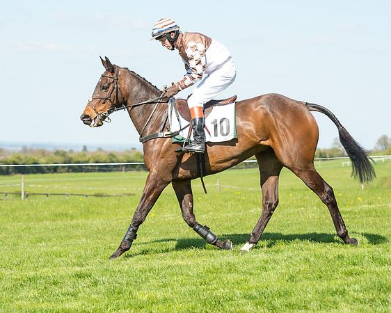 Race 3 - Young Horse Maiden (48 of 110).jpg