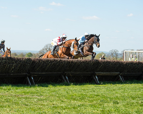 Race 3 - Young Horse Maiden (54 of 110).jpg