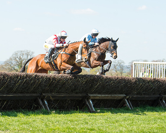 Race 3 - Young Horse Maiden (55 of 110).jpg