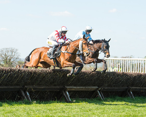 Race 3 - Young Horse Maiden (56 of 110).jpg