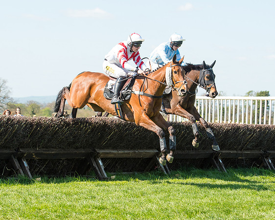 Race 3 - Young Horse Maiden (57 of 110).jpg