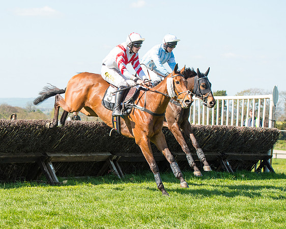 Race 3 - Young Horse Maiden (58 of 110).jpg