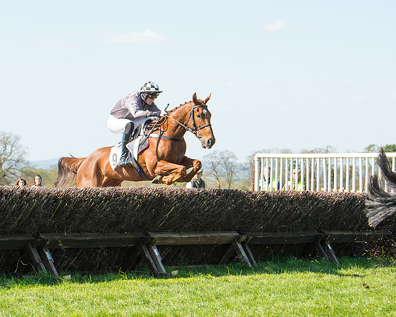 Race 3 - Young Horse Maiden (59 of 110).jpg