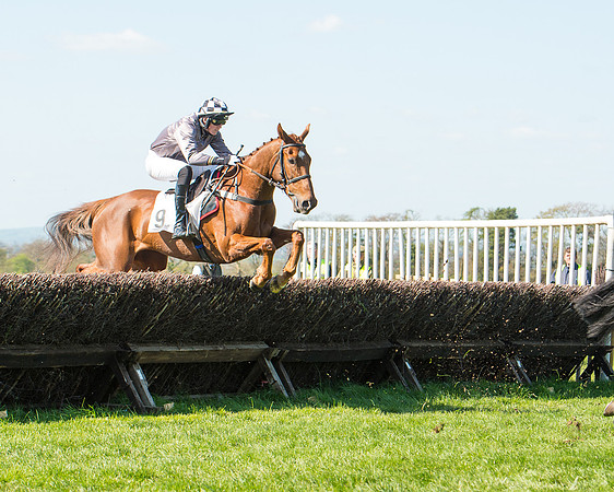 Race 3 - Young Horse Maiden (60 of 110).jpg