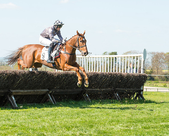 Race 3 - Young Horse Maiden (61 of 110).jpg