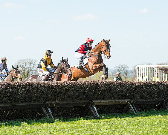 Race 3 - Young Horse Maiden (62 of 110).jpg