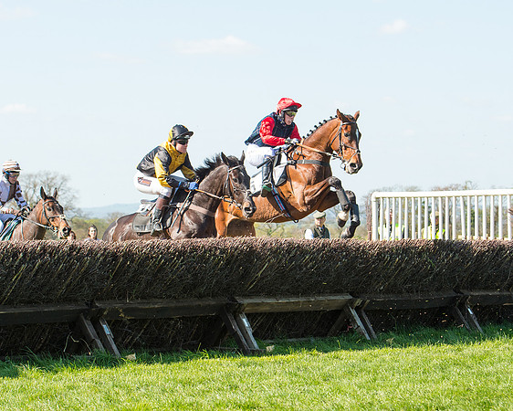 Race 3 - Young Horse Maiden (63 of 110).jpg