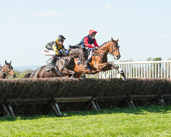 Race 3 - Young Horse Maiden (64 of 110).jpg