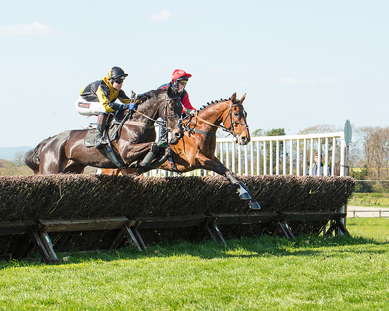Race 3 - Young Horse Maiden (65 of 110).jpg