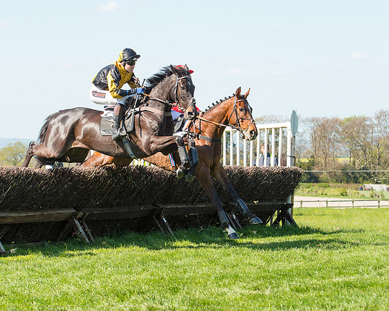 Race 3 - Young Horse Maiden (66 of 110).jpg