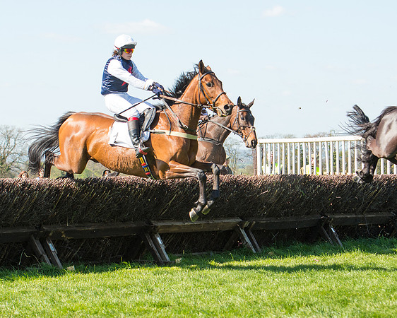 Race 3 - Young Horse Maiden (67 of 110).jpg