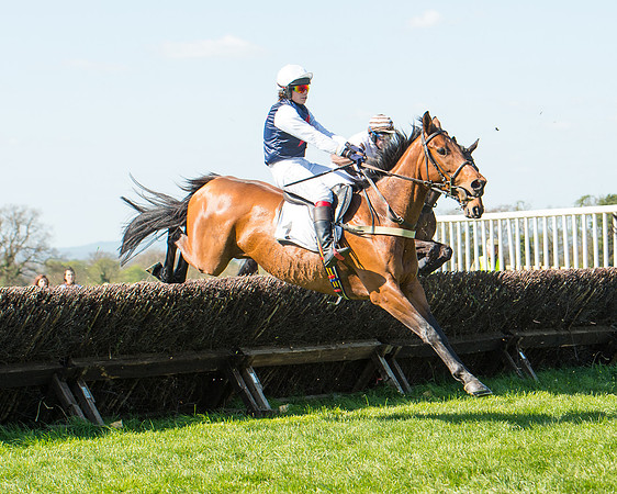 Race 3 - Young Horse Maiden (68 of 110).jpg